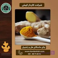 چای ماسالا زنجبیل و شکلات پندار | 150 گرم