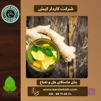 چای ماسالا زنجبیل و نعناع بدون شکر | 150 گرم