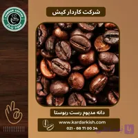 دانه قهوه 100٪ روبوستا پندار | 500 گرم