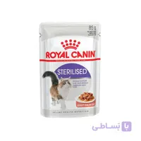 پوچ گربه اینسکتیو در سس رویال کنین وزن 85 گرم