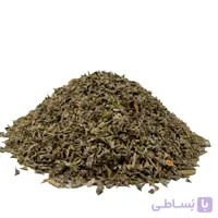 بذر اسفناج شاهرودی