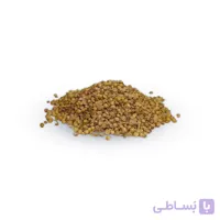 بذر گشنیز