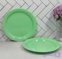 دیس برنج ملامین سبز ۴ نفره پردیس ماهان