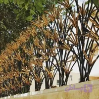 حفاظ شاخ گوزنی | حفاظ نیزار