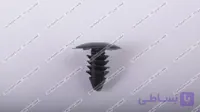 خار گردگیر خورشیدی داخل گلگیر دوو ریسر