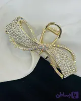کلیپس مجلسی مارک زایا نگیندار