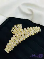 کلیپس مجلسی