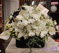 باکس گل کد 05