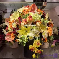 باکس گل کد 33