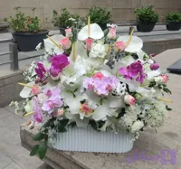 باکس گل کد 09