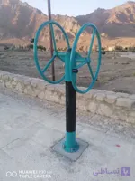 دستگاه دو فرمان چرخش پهلو پارک