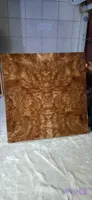 تخته نرد شانه سر خود رنگ استخونی
