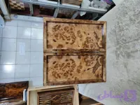 تخته نرد پشت شطرنجی رنگ استخوانی