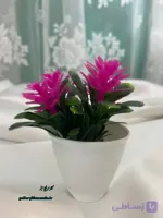 گلدان همراه با گل رنگ صورتی