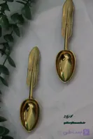 قاشق ادویه طرح پر رنگ طلایی
