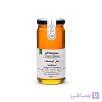 عسل کوهستان سردشت (سماق کوهی)