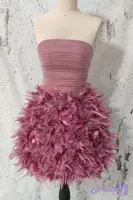 لباس ققنوس
