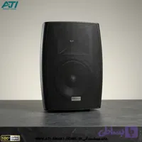 اسپیکر دکوراتیو برند نایس ویس مدل Compact 6