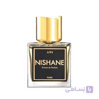 نیشانه آنی