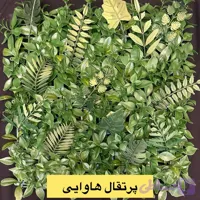 گرین وال پنل پرتقال هاوایی