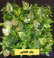 گرین وال پنل ترکیبی هاوایی
