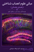 دانلود کتاب مبانی علوم اعصاب شناختی راهنمای مقدماتی Fundamentals of cognitive neuroscience : a beginner’s guide / Bernard Baars, Nicole Gage