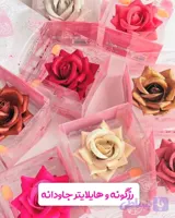 رژگونه و هایلایتر گل
