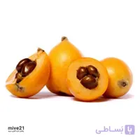 زالزالک