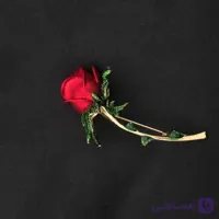 گل سینه گل رز