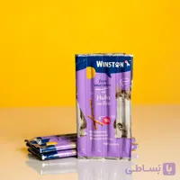 تشویقی گربه وینستون مدل مدادی(یک عدد)