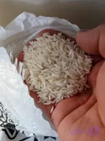 برنج طارم هاشمی فریدونکنار کشت دوم- 10 کیلو