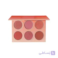 پالت ۶ رنگ رژ گونه شیگلم Floral Flush