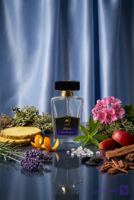 عطر و ادکلن مردانه الدوس / Aldus /آرما پرفیوم (Arma perfume)