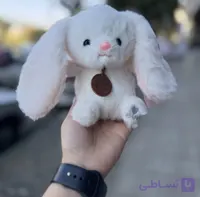 عروسک خرگوش پولیشی Anyagi Peibaru® 🐰🎀