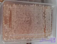 عسل موم دار روشن