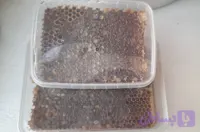 عسل با موم تیره