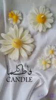شمع گل بابونه سفید و زرد