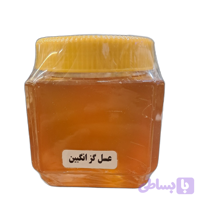 عسل گزانگبین کوهدار 100٪ ارگانیک 500گرمی