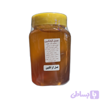 عسل گزانگبین کوهدار 100٪ ارگانیک 850گرمی