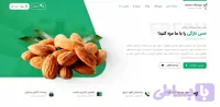 طراحی سایت آجیل و خشکبار