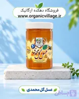 عسل گل محمدی