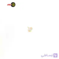 واشر میخ دار 1011