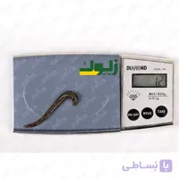 پکیج زالوی طبی پزشکی پرورشی – 6 الی 9 سانت