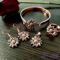 سرویس کامل مس
