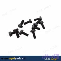 پیچ پروانه فن پژو (بسته 20 عددی)-ارسال رایگان-گارانتی شش ماه-قیمت عمده
