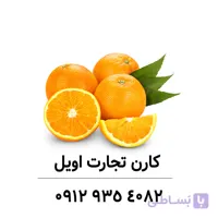 فروش اسانس خوراکی انار پودری برند ارومسا.اسانس خوراکی هلو پودری برند ارومسا
