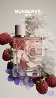 بربری هر باربری هر Burberry her