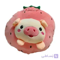 عروسک دراگون فروت طرح خوک بالشتی پتو دار 50 سانتی | Pig Pillow