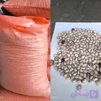 لوبیا چیتی فی :320