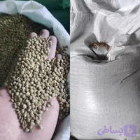 عدس ریز روس فی :160